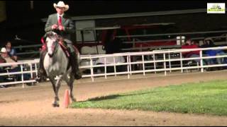 Missouri Fox Trotter Championship AVA 2014 WGC 5 Arizona Outlaws Margarita Vance Vahle [upl. by Aldredge]