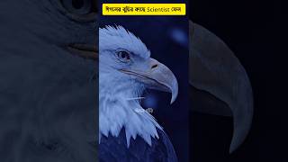 🦅 Eagle intelligence will surprise you 😱 wise eagle shorts intelligent eagles [upl. by Kcod]