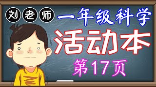 一年级科学活动本答案第17页🍎🍎🍎KSSR SEMAKAN一年级科学活动本答案🍉🍉🍉第3课生物和非生物🚀绿豆 植物 实验 试验 发芽 空气 水 基本需求 温度🌈🌈🌈一年级科学生物和非生物 一年级科学 [upl. by Goddart38]