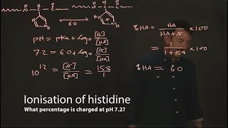 Ionisation of histidine [upl. by Jordanson]