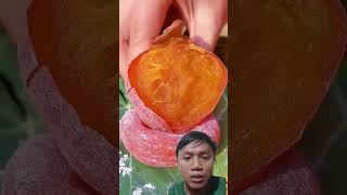 Buah apa ini fruit naturallifeb satisfying fruitcutting [upl. by Jamil]