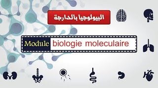 Biologie moléculaire partie 4 techniques de base البيولوجيا بالدارجة [upl. by Le]