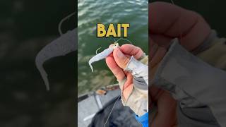 Downsizing tips for the fall transition bassfishing [upl. by Balfore]