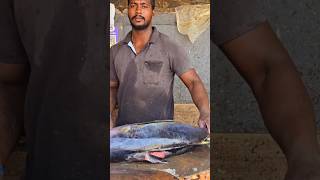 DUNA FISH CUTTING 8KG MFK [upl. by Chung]