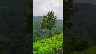 Hill station Toranmal sindidigar ghat maharashtratourism httpswwwyoutubecomrishirajdodwa5284 [upl. by Schnabel873]