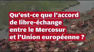 VIDEO Questce que laccord de libre échange entre le Mercosur et lUnion européenne [upl. by Zsuedat1]