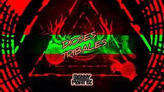 Dioses Tribales  Danny Marttz The King Of Tribal [upl. by Akemahc]