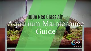 Aquarium Maintenance Guide  DOOA Neo Glass Air Series  Plant trimming session  Substrate cleaning [upl. by Clarkson]