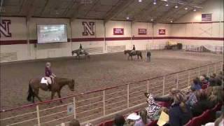 Hunt Seat Equitation Lead Changes and Stride Length provided by eXtension [upl. by Rihat]