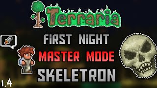 Skeletron in the First Night on Master Mode  Terraria 14 Speedrun [upl. by Paulo712]