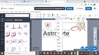 How to use Biorender to create Figure or graphic abstract Dr Esraa Elnahas [upl. by Akema]