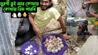 মুরগী তুই আরকোথায় কোথায় ডিম পারবি 🥚🐥 [upl. by Michaelina]