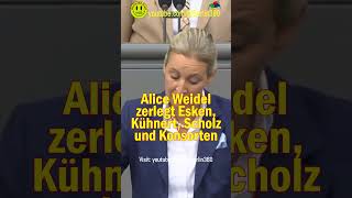 Weidel Esken Scholz Kühnert Habeck Faeser Baerbock lisapaus ricardalang Nouripour Özdemir [upl. by Anaitak]