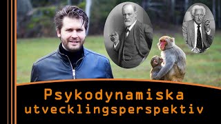 Psykodynamiska perspektiv på utveckling Från Freud till Anknytningsteorin [upl. by Esinehc]