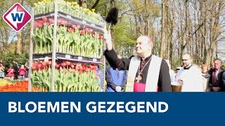 Bisschop Hans van den Hende zegent bloemen voor Vaticaanstad  OMROEP WEST [upl. by Tsew934]