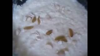 kheer recipe by sanjeev kapoor insp [upl. by Laumas]