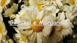 Chama Chuva  Girassol e Margarida [upl. by Kire]