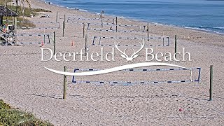 Live  Sport Camera  Deerfield Beach Florida USA [upl. by Sybil425]