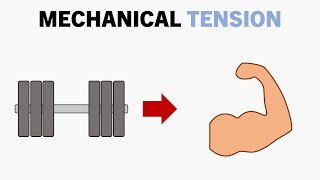 What is Mechanical Tension [upl. by Pruter733]