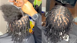 Starter locs With Two Strand Twist  Double Strand Twist for Men  Protective Style for Men [upl. by Hanikehs]