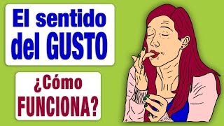 El Sentido del Gusto ¿Cómo Funciona [upl. by Wilma37]