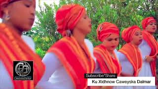 Dhaanto Cusub  Samsam  Cabdiwali Sayidka  2018  Footage Mixed [upl. by Lawley]