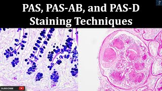 PAS PAS AB and PAS D Staining Techniques  Principal Procedure histopathology laboratory [upl. by Aneelad678]