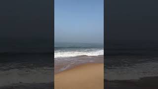 Goa Paradise on Earth 🌴quot shorts travel goa trending traveler ytshorts [upl. by Block]