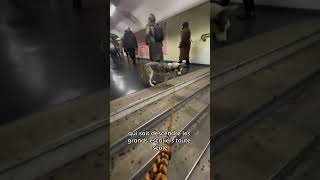 Mizumi dans les couloirs du métro ☺️ chien chienmignon husky educationcanine dog metro [upl. by Resay]