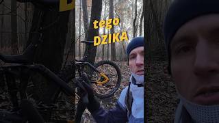 Recenzja  Rower Elektryczny HAIBIKE NDURO 6 [upl. by Wivina469]