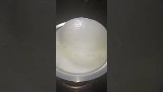 Milk subscribe like share support viralvideo follow likeandsubscribe food indiafoods [upl. by Enohpets632]