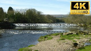 Burley In Wharfedale Stepping Stones River Wharfe Weir 4K West Yorkshire Dales Virtual Walk Tour 🇬🇧 [upl. by Yatnohs413]