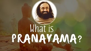 What is Prana and Pranayama  Gurudev Sri Sri Ravi Shankar [upl. by Ailbert]