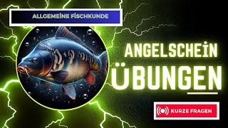 Angelschein Prüfunsfragen Abbildung angeln angler fishing angelschein anglerlife fische hobby [upl. by Anyale]