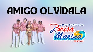 Brisa Marina  Amigo Olvídala  Lyric Video [upl. by Jae]