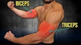 TRAINING EXERCICE BICEPS  TRICEPS [upl. by Akeyla]