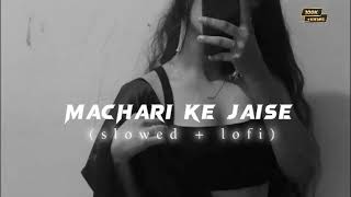 machri ke jaisa tadap jawani slowed reverb song best experience for use headphone [upl. by Eylatan]