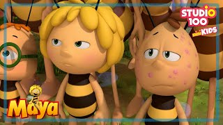 Honey ban for Willy  Maya the bee  Studio100 miniKIDS 🍯🐝🍯 [upl. by Riehl923]