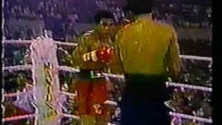 Rolando Navarrete First Round Knockout Over Dawthong Chuwatana [upl. by Wallas]