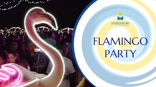 Miami Flamingo Party Pappasole [upl. by Yelsnik]