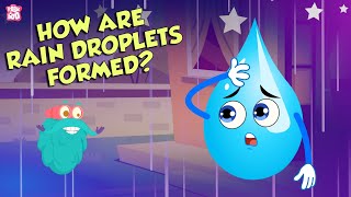 How Are Rain Droplets Formed  WATER CYCLE  The Dr Binocs Show  Peekaboo Kidz [upl. by Riem]