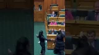 NZ Parliament interrupted by Haka as treaty bill is debated [upl. by Audi]