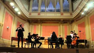 CPE Bach flute concerto in d minor 2nd mvt Sébastian Jacot [upl. by Reniar]