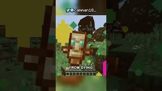 Why totems axcist minecraft camman [upl. by Lynelle]