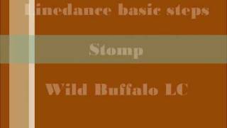 Linedance basic steps Stomp WB hun [upl. by Suzanna]