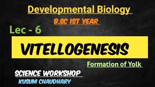 Vitellogenesis  Formation of Yolk  Developmental Biology 6  By Kusum Chaudhary [upl. by Ydoc]