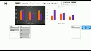 Gestionnaire de budget Un outil facile pour gérer un budget personnel ou familal [upl. by Nicholl445]