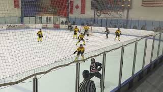 Highlights  Hawks  Sarnia Sting [upl. by Magna]