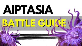 How I defeated Aiptasia In My Reef Aquarium The Ultimate Battle Guide [upl. by Mechling]