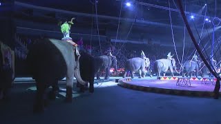 Conditional approval granted for Hadi Shrine Circus animal exhibition permit [upl. by Reyam]